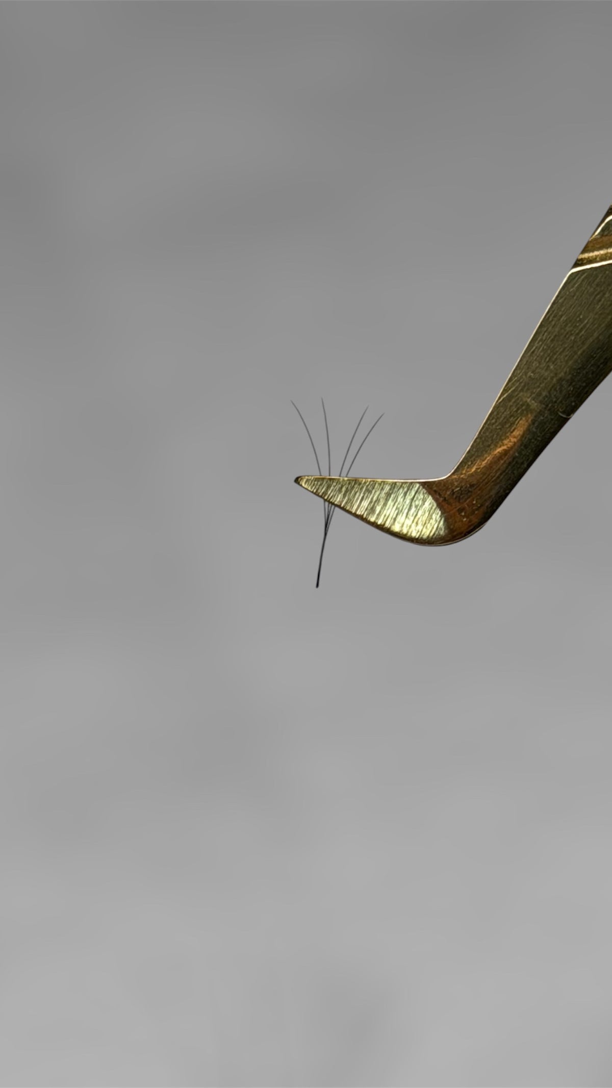 Volum pinsett (strip fanning techniques)